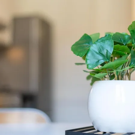 La Boheme, Appartement Chaleureux Et Decore Avec Gout Appartement